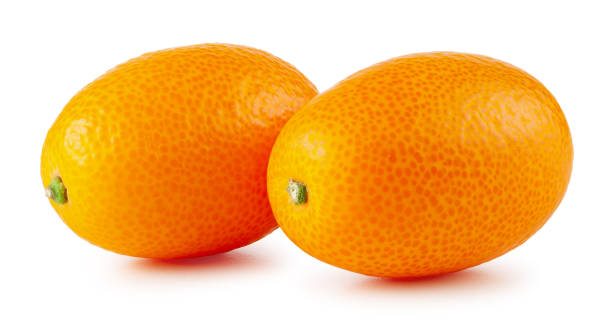 istock Kumquat isolated on white background 1345661064