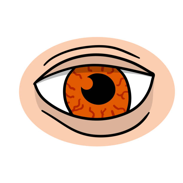 Eye. Human organ of vision. Tired Look and painful look. Eye. Human organ of vision. Tired Look and painful look. Eyelid and red eyeball with veins. See and watch. Concept insomnia. Cartoon illustration isolated on white drunk visual stock illustrations