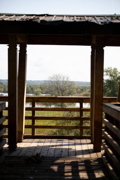 istock Wooden Platform in Nature 1345666325