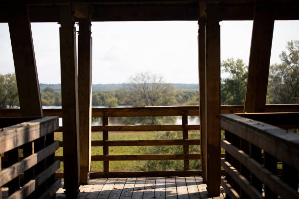 istock Wooden Platform in Nature 1345666326