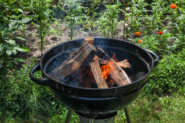 istock actual campfire at the open air 1345670174