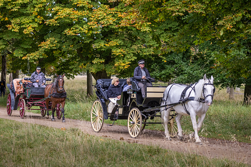 Horse carriages in Dyrehaven, a large deer park north of Copenhagen which is very popular picnic site for many Danes
