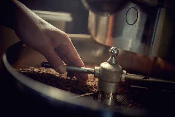 istock Man's hands holding freshly roasted aromatic coffee beans over a coffee roasting machine. 1345673319