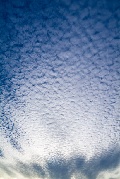 flauschige weiße wolken am blauen himmel. makrelenhimmel. - cirrocumulus stock-fotos und bilder