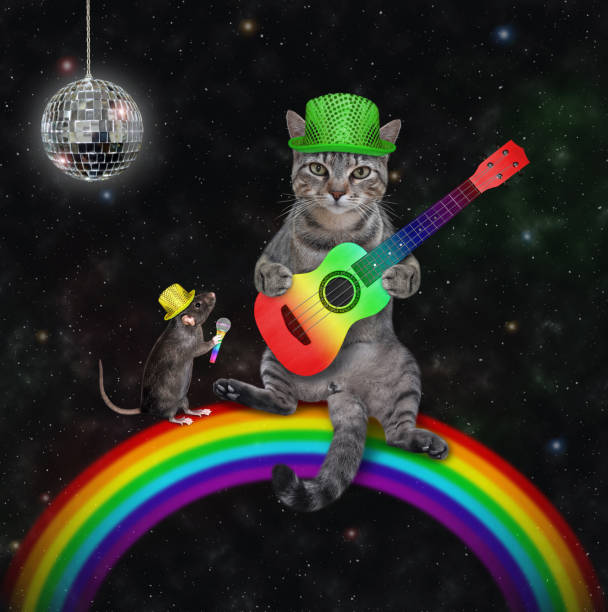 istock Cat gray playing acoustic guitar on rainbow 1345680671