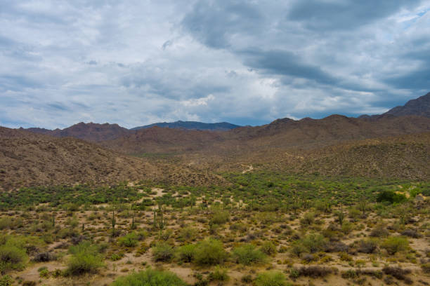 istock Beautiful panoramic desert landscape wilderness, near Phoenix Arizona 1345681252