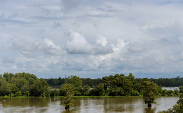 istock Horizontal landscape with flooded the valley field and trees 1345681259