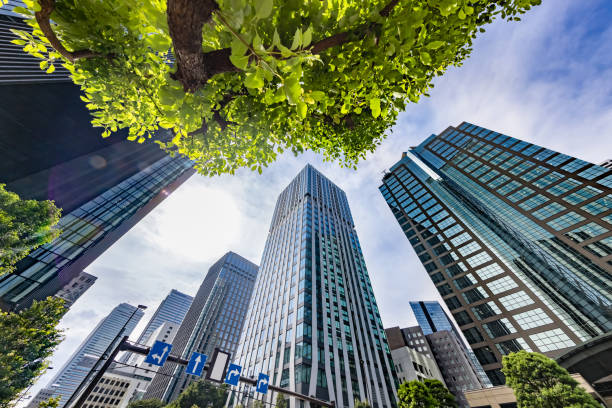 istock Buildings in Tokyo with beautiful sunlight 1345681297