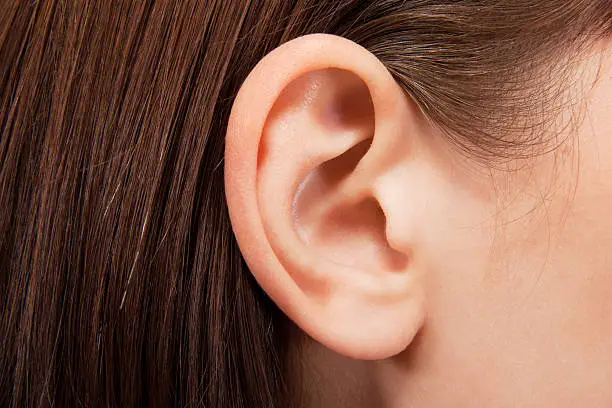 Human ear closeup