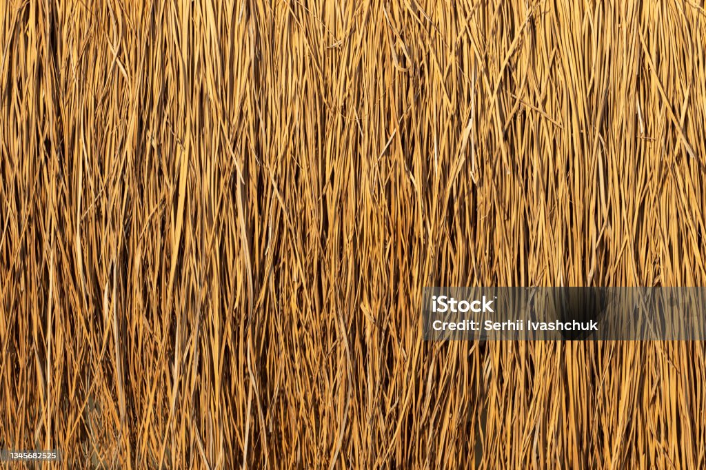 Straw Normal Texture Straw Texture Background Stock Photo - Download Image Now - Full Frame ...