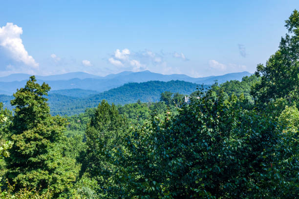 niesamowity widok na balkon na pasmo great smoky mountain w północnej karolinie w sezonie letnim.  great smoky mountains zaczynają się wzdłuż granicy tennessee i karoliny północnej, a stamtąd kierują się na północny wschód w południowo-wscho - mountain mountain range north carolina blue zdjęcia i obrazy z banku zdjęć