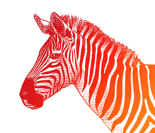 79 Red Zebra Print Illustrations & Clip Art - iStock