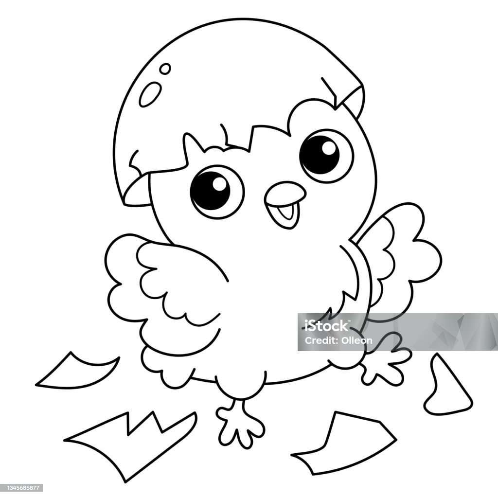 Ilustración de Dibujo Para Colorear Esquema De Pollito De Dibujos Animados Con Huevo Pollo Recién Nacido Cumpleaños Libro Para Colorear Para Niños y más Vectores Libres de Derechos de Contorno - iStock Ilustración de Dibujo Para Colorear Esquema De Pollito De Dibujos Animados Con Huevo Pollo Recién Nacido Cumpleaños Libro Para Colorear Para Niños y más Vectores Libres de Derechos de Contorno - iStock