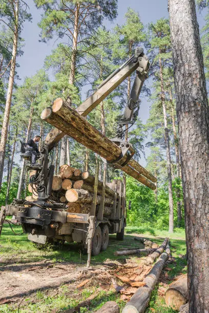 Photo of timber carrier