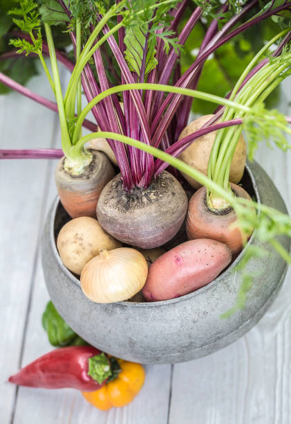 istock Still life of of vegetable 1345691894