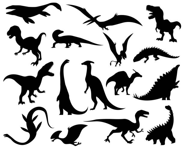 ilustrações de stock, clip art, desenhos animados e ícones de collection silhouettes of dinosaurs. dino monsters icons. prehistoric reptile monsters. vector illustration isolated on white. sketch set. hand drawn dino skeletons - anquilossauro