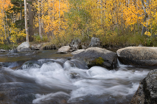 Autumn fall color with cascading river water