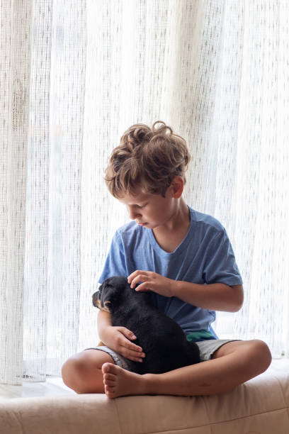 istock A boy with a little dog playing at home 1345693389