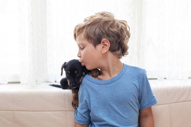 istock A boy with a little dog playing at home 1345694195