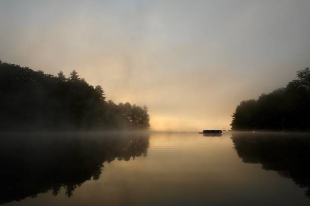 istock Sunrise at the Lake 1345694768