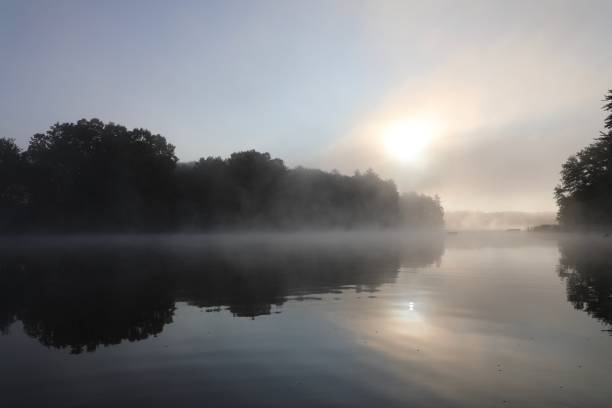 istock Good Morning Sunshine 1345694784