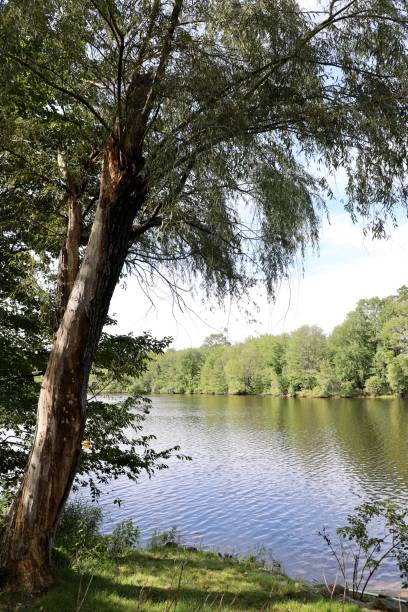 istock Day at the Lake 1345694831