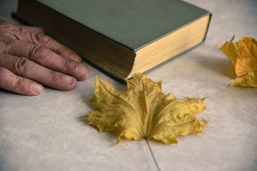 old book on the table elderly man's hand autumn leaves. Autumn and seasons theme. Autumn mood at heart concept. selective focus