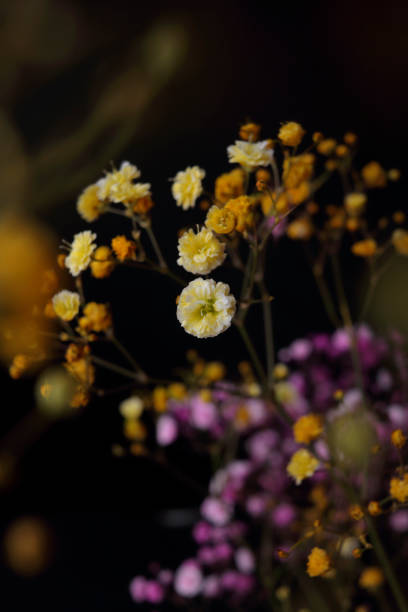 istock Little beautiful yellow  flowers 1345703564