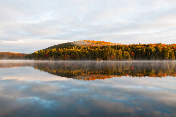 istock Lake Louisa, Algonquin Provincial park, Ontario, Canada 1345703831