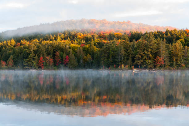 istock Lake Louisa, Algonquin Provincial park, Ontario, Canada 1345703964