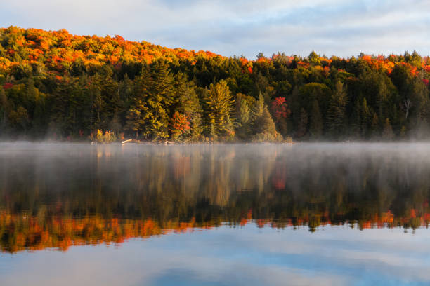 istock Lake Louisa, Algonquin Provincial park, Ontario, Canada 1345703988