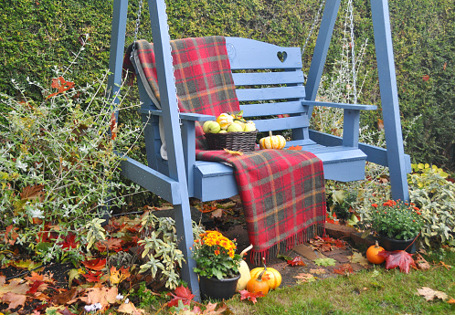 Fall harvested apples from fresh you pick farm during autumn season