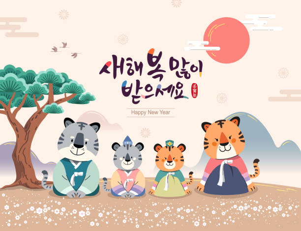 한국의 새해. 한복의 호랑이 가족이 새해를 맞이합니다. 새해 복 많은, 한국어 번역. - korea stock illustrations