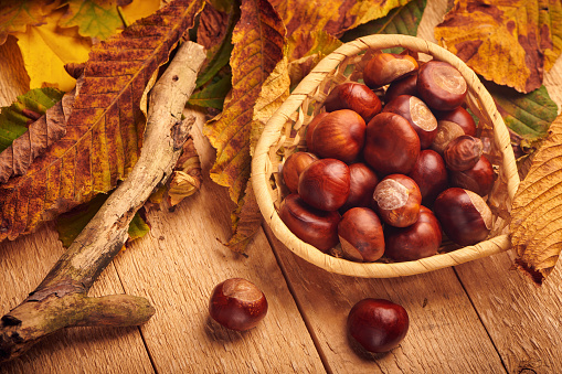 Horse chestnuts in bowl and fall yellow leaves on wooden table. Fall background.