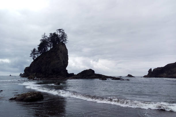 istock Rock Formations at Olympic National Park. USA 1345716003