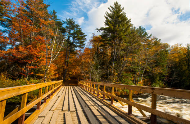 istock Oxtongue river 1345724396
