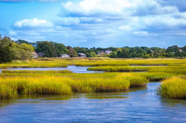 Photo of October Salt Marsh Colors