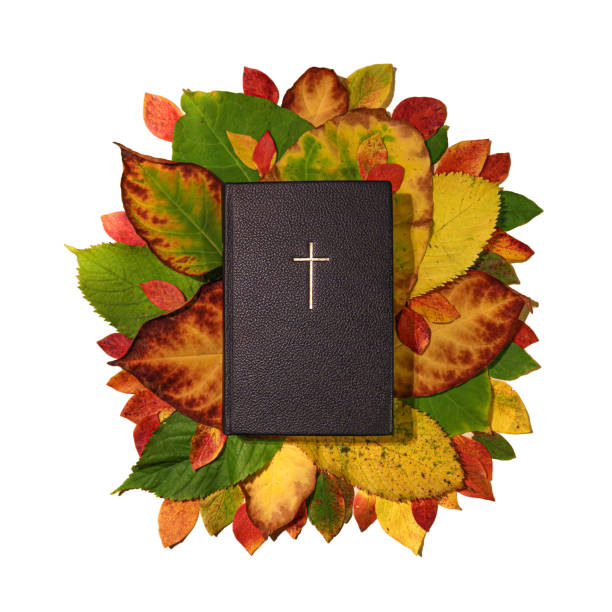 The Holy Bible on a yellow, orange, red and green autumn or fall leaves foliage bed and white background stock photo