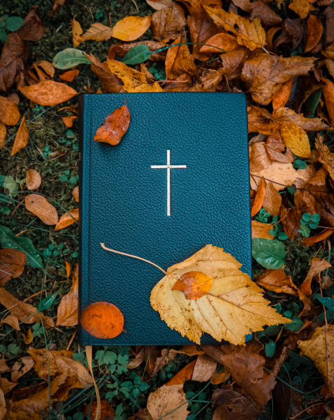 The Holy Bible surrounded by colorful autumn leaves foliage stock photo