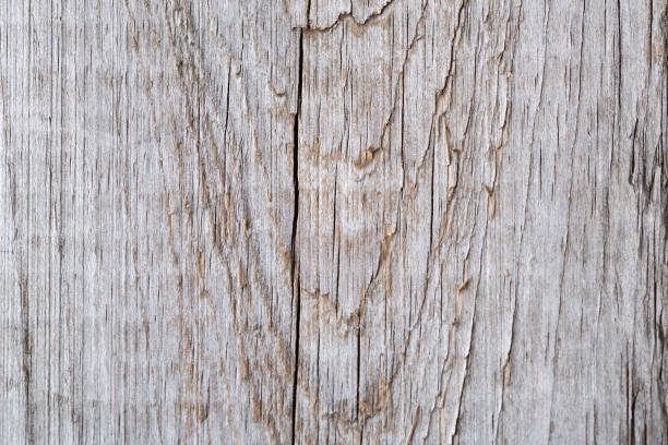 istock White wooden old board background. 1345726150