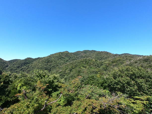 istock The landscape of Izumo 1345733132