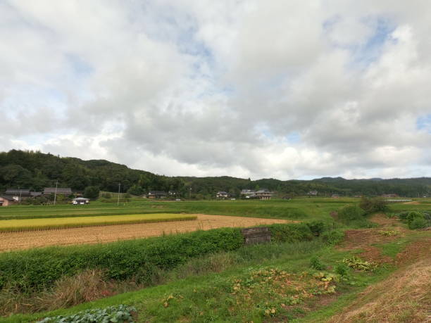 istock The agricultural land in Izumo 1345733175