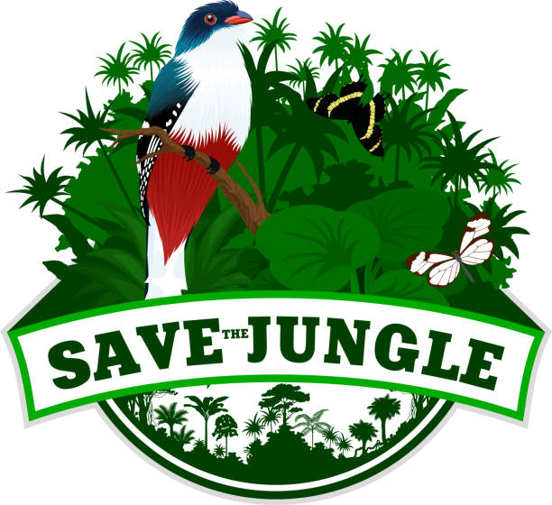 vector jungle rainforest emblem with  Cuban trogon and butterflies vector jungle rainforest emblem with  Cuban trogon and butterflies trogon stock illustrations