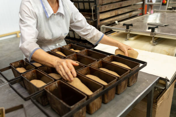 istock the baker holds molds with dough ready for baking bread. Metal containers for baking bread in the hands of a baker 1345735153