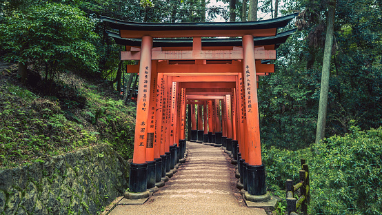 Kyoto, Japan-14 April, 2019: Beautiful red Tori gates at famous Fushimi Inari-Taisha shrine. Path with athousands of torii at mountain shinto temple. Japanese sanctuary with traditional architecture