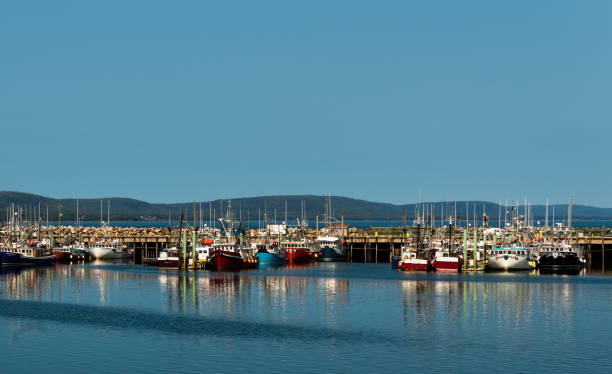 fishing boats lined up in digby, nova scotia - horizontal nova scotia bay of fundy bay imagens e fotografias de stock