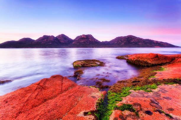 타스 콜스 베이 블루 에서 범위 - freycinet national park 뉴스 사진 이미지