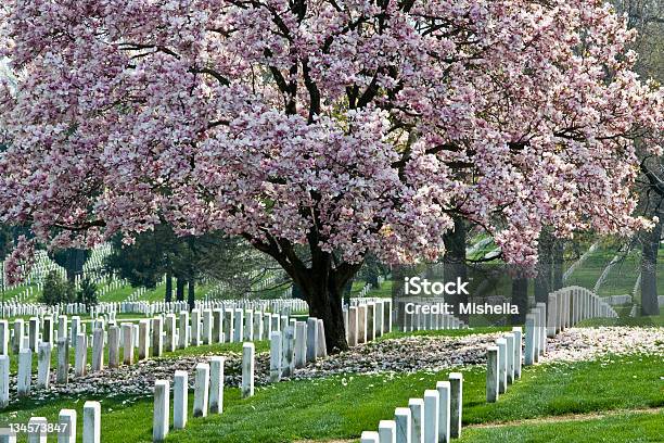Arlington National Cemetary - zdjęcia stockowe i więcej obrazów Narodowy Cmentarz w Arlington - Narodowy Cmentarz w Arlington, Aranżować, Arlington - Stan Wirginia