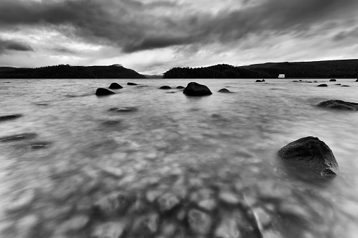 Surface of shallow lake bed in Tasmania - Lake St Clair. Moody high-contrast black-white impression in overcast weather.