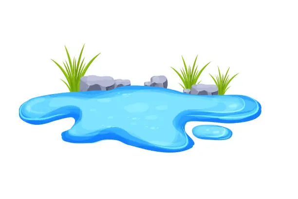 Vector illustration of Pond, water puddle with grass and stones in cartoon style isolated on white background. Small lake,outdoor nature decoration, oasis. Vector illustration